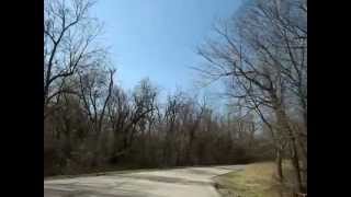 Ride to Lake Jacomo Native Hooved Animals  Bison Elk [upl. by Eul882]