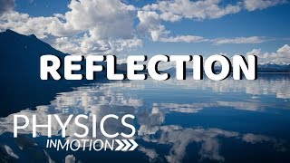 What Is Reflection  Physics in Motion [upl. by Wemolohtrab]