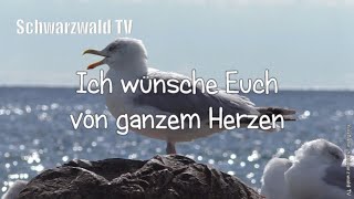 🎩🍀 Frohes neues Jahr 🥂🍾 Guten Rutsch 🏝️ Neujahrswünsche 🍾 Happy New Year Silvester Grußvideo [upl. by Reube]