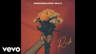 Shekhinah  Risk Official Audio ft Moliy [upl. by Neeruan]