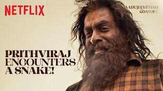 Prithviraj NARROWLY ESCAPES a DEADLY Snake  Aadujeevitham  Netflix India [upl. by Anohs]