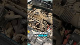 How To Clean a Dirty Engine Bay [upl. by Aihsotal195]