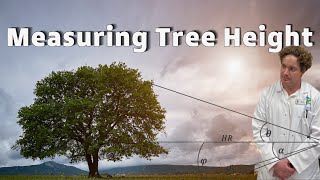 How to measure tree height with a clinometer [upl. by Teria657]