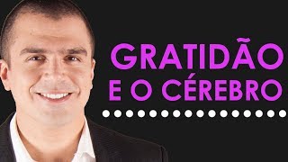 O SURPREENDENTE efeito da GRATIDÃƒO no cÃ©rebro [upl. by Margery]