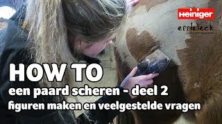 HOW TO een paard scheren  DEEL 2  63  Epplejeck [upl. by Eitsyrhc]