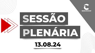 Sessão Plenária da Câmara Municipal de São Paulo  13082024 [upl. by Hackathorn850]