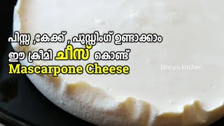 ഈ ചീസ് കേക്കിനും പുഡിങ്ങിനും പിസ്സക്കും അടിപൊളിയാ 😋 Mascarpone Cheese  Homemade Mascarpone Cheese [upl. by Philis]