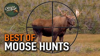 20 Moose Hunts in 20 Minutes ULTIMATE Moose Hunting Compilation  BEST OF [upl. by Lee130]