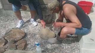 Cracking open a concretion ammonite gem fossils [upl. by Trub]