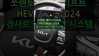 HOW TO slowly amp safely 경사로 저속 주행 시스템 경사로 브레이크 dbc [upl. by Griselda]