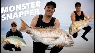 90 Mile Beach Fishing New Zealand  Land Based Snapper Comp [upl. by Naujid]