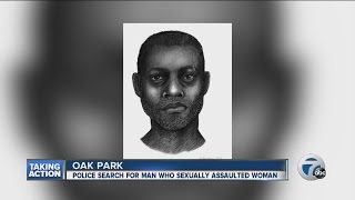 Police search for rapist in Oak Park [upl. by Dunkin]