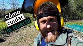 Como preparar el SUELO para poner BANCALES Cómo CUIDAR 🏥 la HUERTA 🌿  1ª parte  Ep112020 [upl. by Mcloughlin]