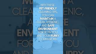 Pawsitively Clean PetFriendly Cleaning Tips for a Happy Home [upl. by Nitnelav564]