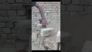 How to Make a Pigeon house bricks [upl. by Ayoj]