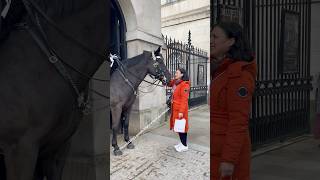 Charming Encounters Tourists with Regal Horses at Horse Guard Paradequot Shorts [upl. by Lonne]