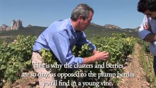 The History of Rioja [upl. by Eneleh]