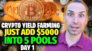 Just Started Yield Farming From DAY 1  Solana  Pendle  ETH  PopCAT  WIF  Crypto Phil [upl. by Innattirb]