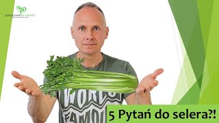 5 pytań do selera 🥬😍⁉️ [upl. by Nyliram438]