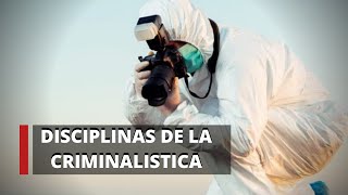 Disciplinas de la Criminalística  Criminalística [upl. by Mannuela881]