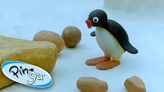 Pingu Makes Art Pingu  Official Channel Cartoons For Kids [upl. by Nagn584]