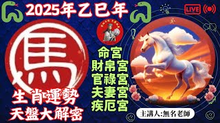 🐴2025年 馬 生肖運勢｜2025年乙巳年｜十二生肖天盤運程預測大解密！｜生肖馬在2025年馬年男命女命運勢解析  命運好好玩 【2025乙巳年12生肖流年運勢分析精選EP2】 [upl. by Catharine]