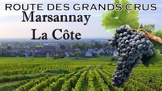 Route des Grands Crus  MARSANNAYLACOTE [upl. by Nnylyaj]