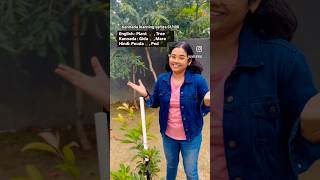 Plant and tree in Kannada Kannada learning 61100 Kannada vlogsKannadayoutubeshorts [upl. by Starlin]