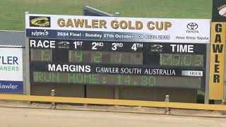 Gawler08112024Race5 [upl. by Ahsiral504]