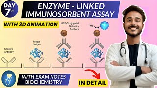 enzyme linked immunosorbent assay elisa biochemistry  Animation [upl. by Ikik]