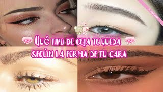 Qué tipo de ceja te queda según la forma de tu cara  Guía para cejas perfectas 🌸🍓 [upl. by Carleen]