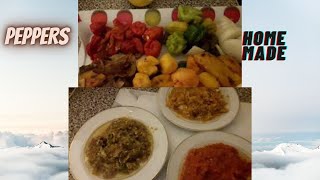 PEPPERS RECIPES HOME MADE GREENRED amp YELLOW [upl. by Ahsal]