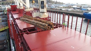 Loading timber onto a cargo ship [upl. by Asiulana]