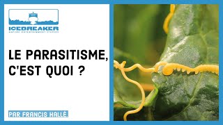 14 Questce que le parasitisme [upl. by Nirrad]