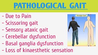 Pathological Gait [upl. by Khalil]