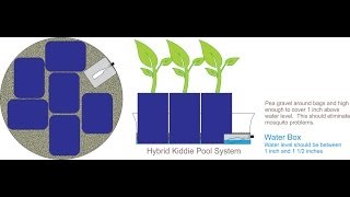 The New Amazing Self Watering Hybrid Kiddie Pool Grow System Simply Incredible [upl. by Ecirtel]