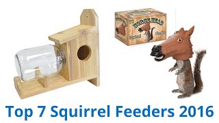 7 Best Squirrel Feeders 2016 [upl. by Hsan]