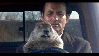 Groundhog Day 1993 Movie Review [upl. by Eintirb]