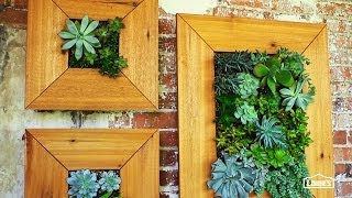 DIY Vertical Succulent Garden [upl. by Aehta635]