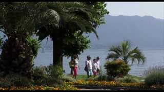 Palms of Cannero Riviera Lake Maggiore Italy [upl. by Coltin]