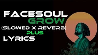 Facesoul  Grow Slowed x Reverb amp Lyrics  Reverb Temple Version [upl. by Rabma502]