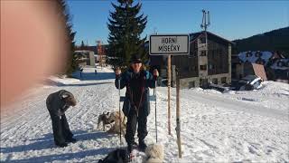 ASMR Langlauf Ski fahren Cross Country skiing Geräusch Sound Klang mp3 kostenlos [upl. by Silverts]