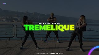 MC WM  Tremelique  Ritmo do Brazil Coreografia  Dance Video [upl. by Flem797]