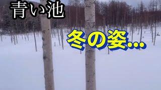 【400〜】北海道、富良野 青い池が白い池に！ [upl. by Atinnod]