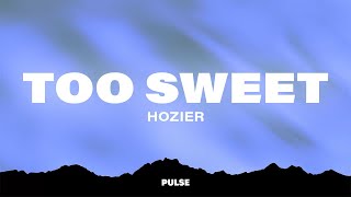 Hozier  Too Sweet Lyrics [upl. by Gentille]