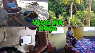 VAMOS FAZER COLORAU CASEIROVLOG NA ROÇAROTINAS NA CASA DA MINHA SOGRA [upl. by Annavas]