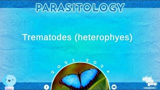 L2 Introduction to trematodes heterophyes Parasitology [upl. by Anaek93]