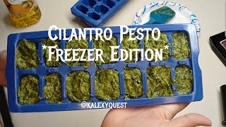 Cilantro Pesto Freezer Edition [upl. by Shanks463]