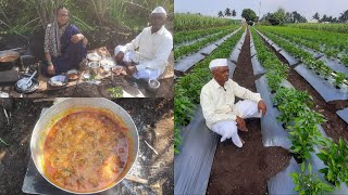 रानात ऊसाकडला चुलींवर दुपारच्या जेवणाचा झक्कास बेत झाला Village Cooking Farmer Blog Tatyacha Mala [upl. by Valora551]