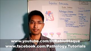 Infective Endocarditis Part 1 HD [upl. by Leik938]